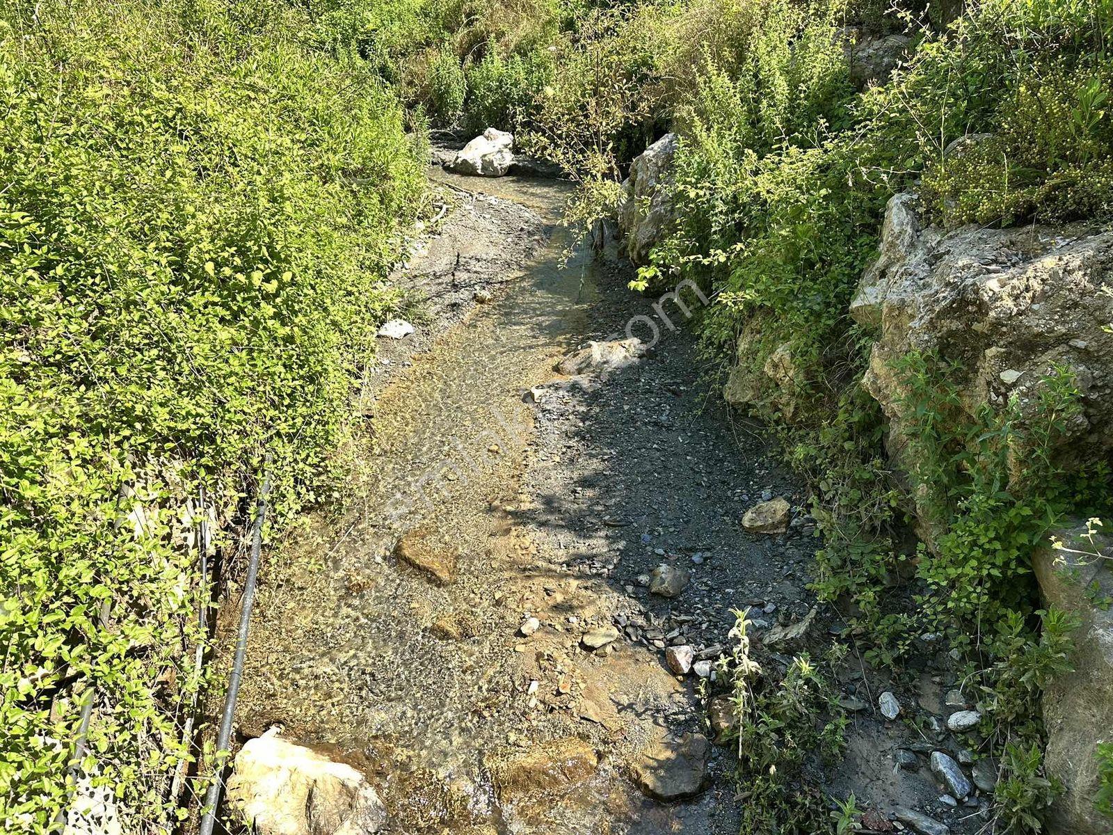 Alanya Hacıkerimler'de Satılık 2.183 M2 Masrafsız Zeytin Bahçesi - Görsel 14