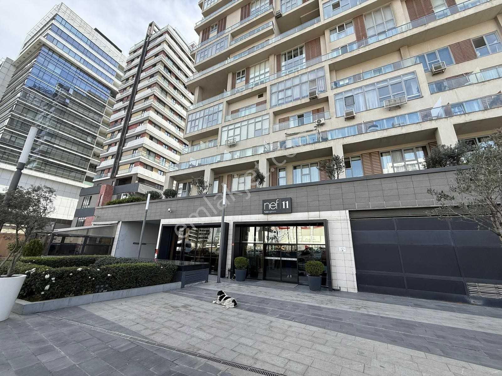 Nef 11 Kağıthane 1+1 Kiralık Daire - Görsel 13
