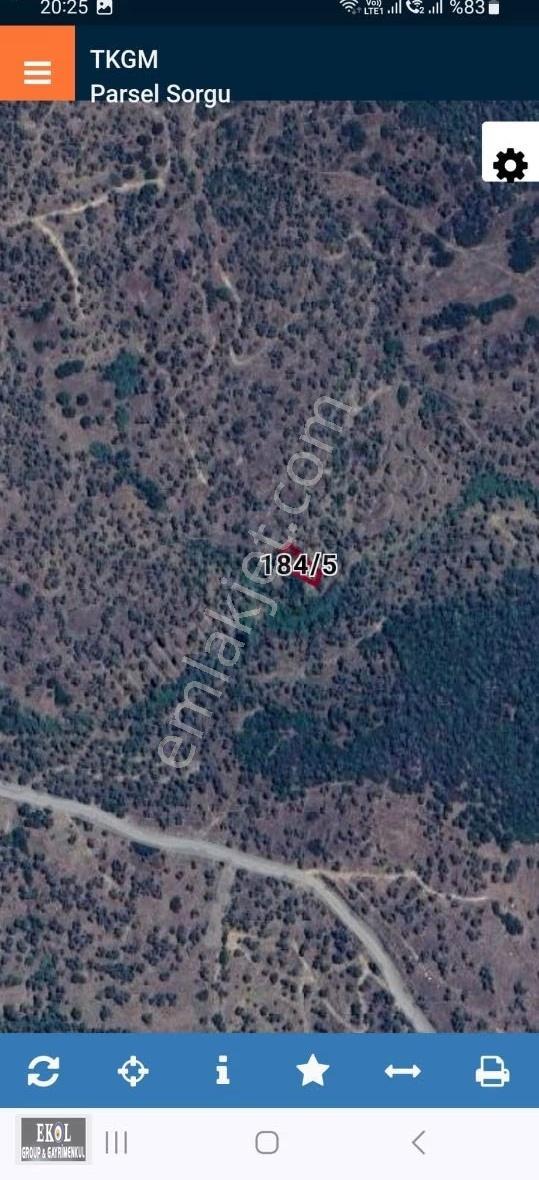 Aydın Çine Çöğürlü Mahallesinde Satılık Yatırımlık Zeytinlik - Görsel 2