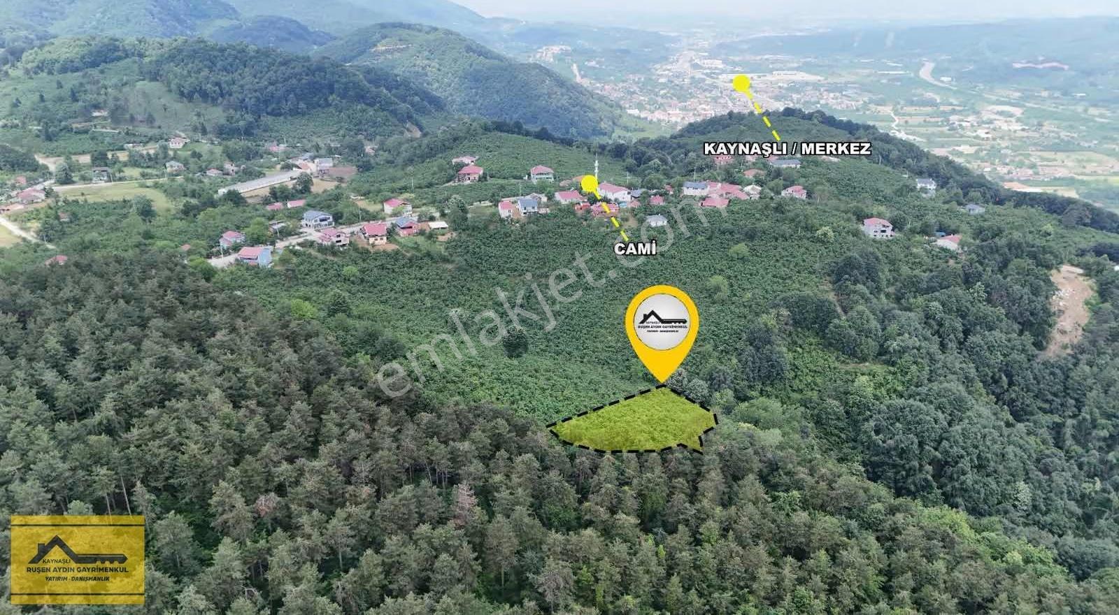 Ruşen Aydın Gyd'dan Kaynaşlı Eskiköy Mah. Satılık Fındık Tarlası - Görsel 23