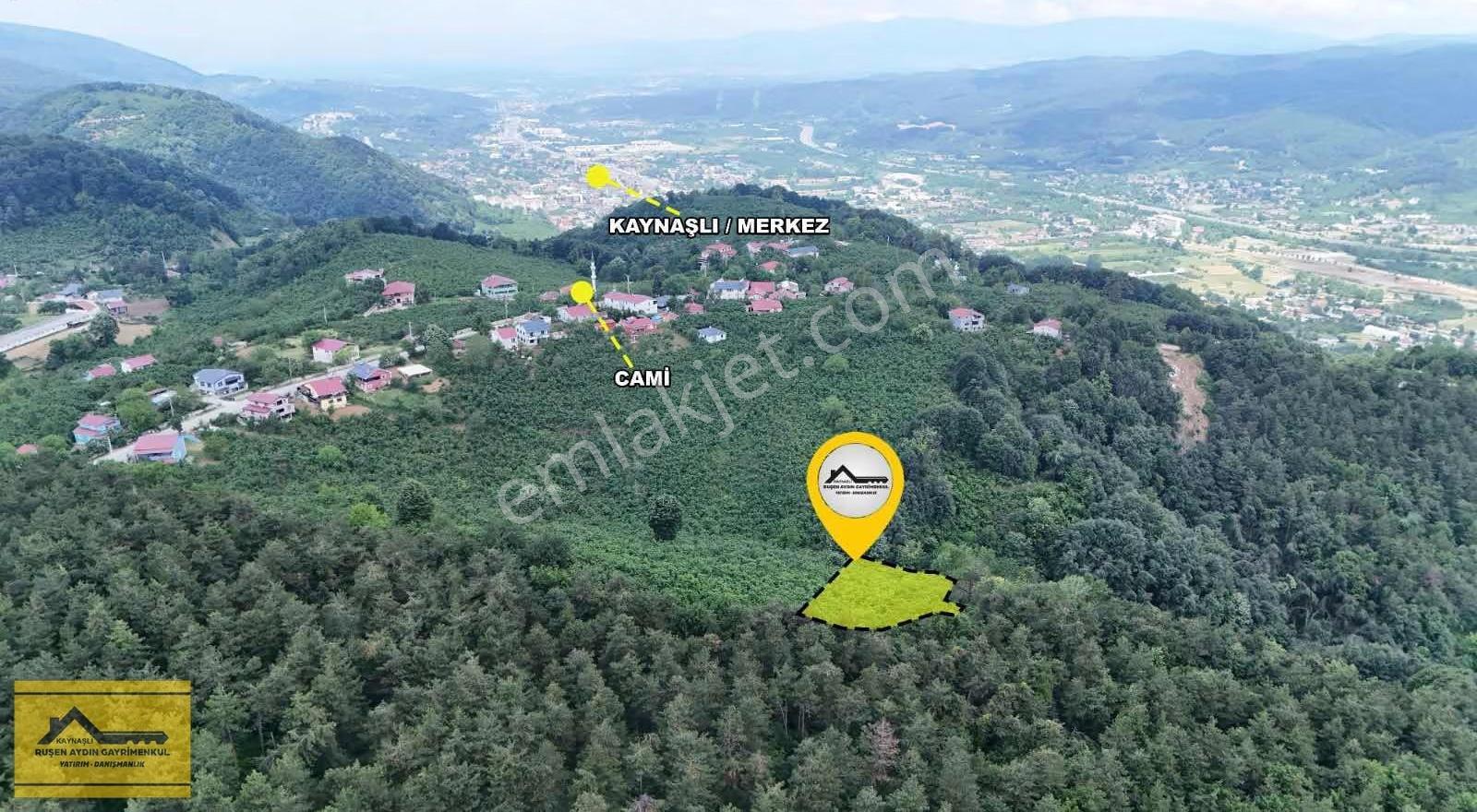 Ruşen Aydın Gyd'dan Kaynaşlı Eskiköy Mah. Satılık Fındık Tarlası - Görsel 2