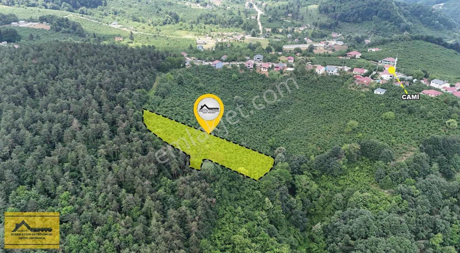 Ruşen Aydın Gyd'dan Kaynaşlı Eskiköy Mah. Satılık Fındık Tarlası - Görsel 18