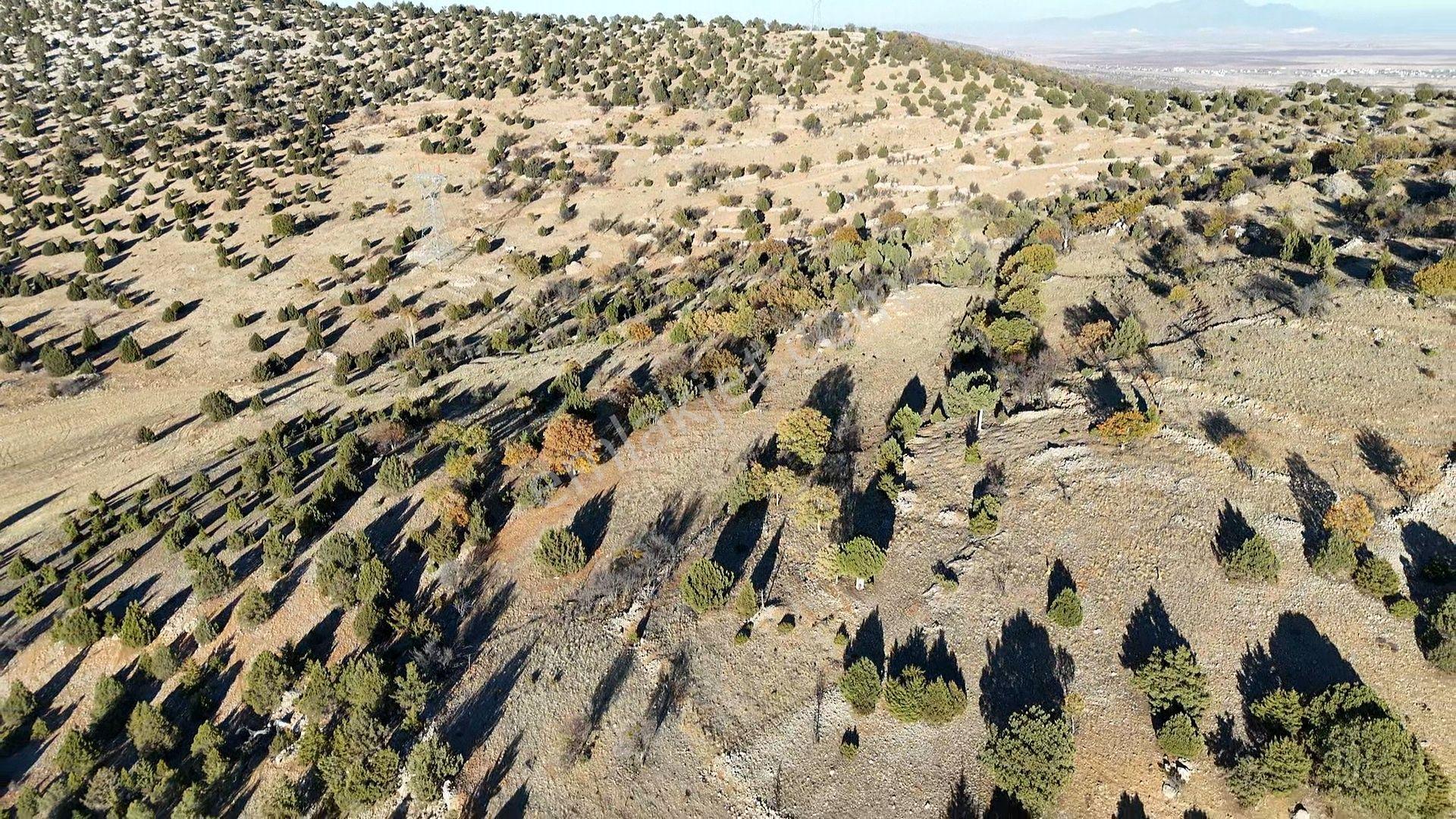Güneysınır Kurukavak Mahallesinde 390 M² Müstakil Tapulu Tarla - Görsel 11