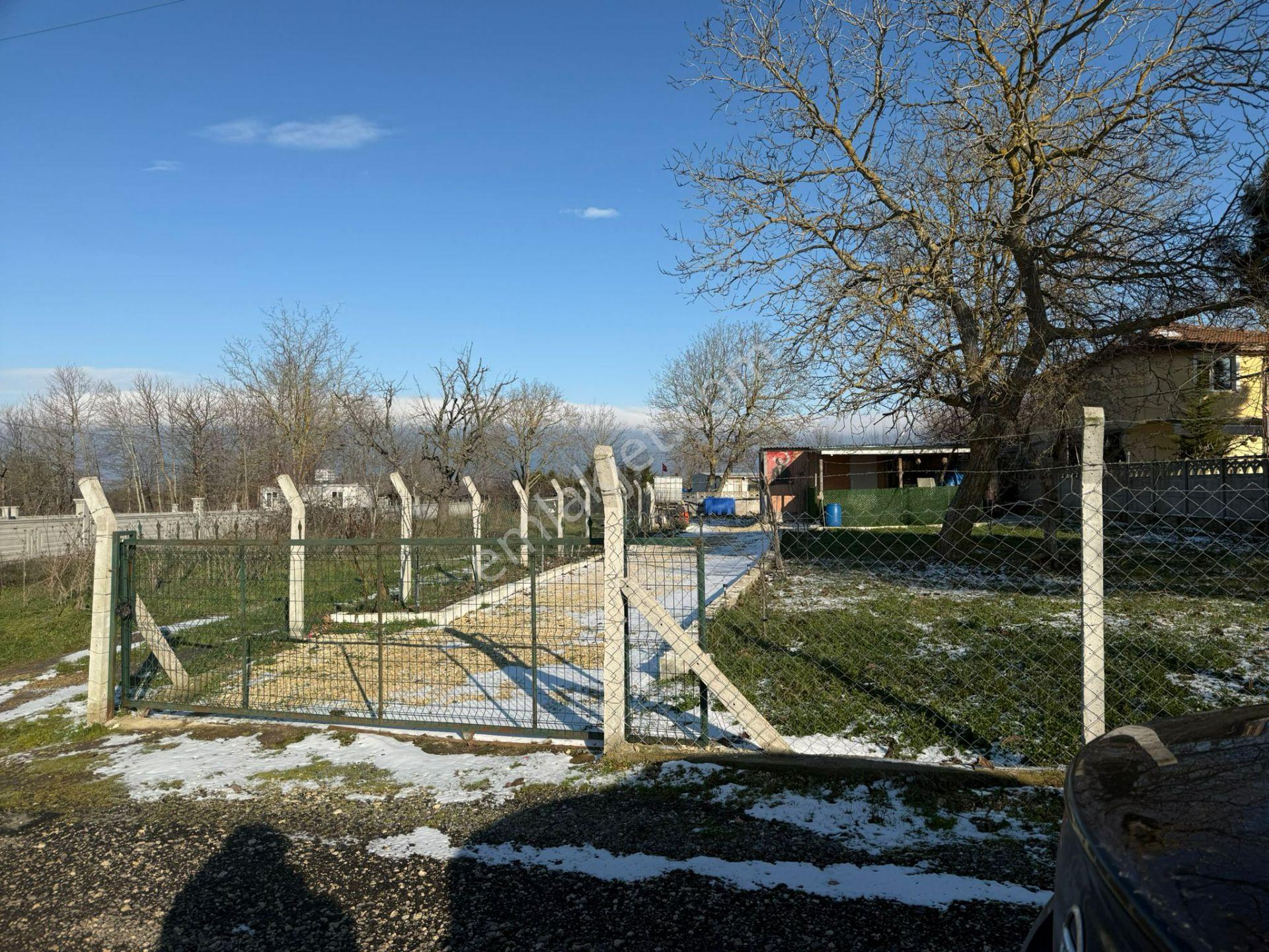 Güven'den Saray'da Bağ Evi Yapımına Uygun 502m² Satılık Arazi.. - Görsel 6