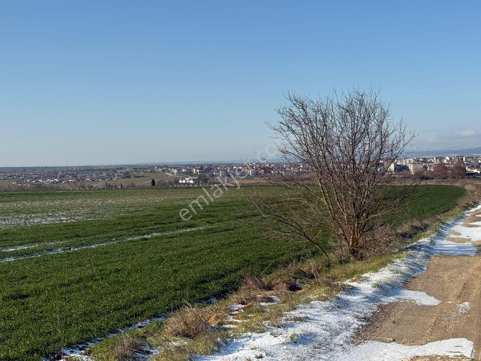 Güven'den Saray'da Bağ Evi Yapımına Uygun 502m² Satılık Arazi.. - Görsel 30