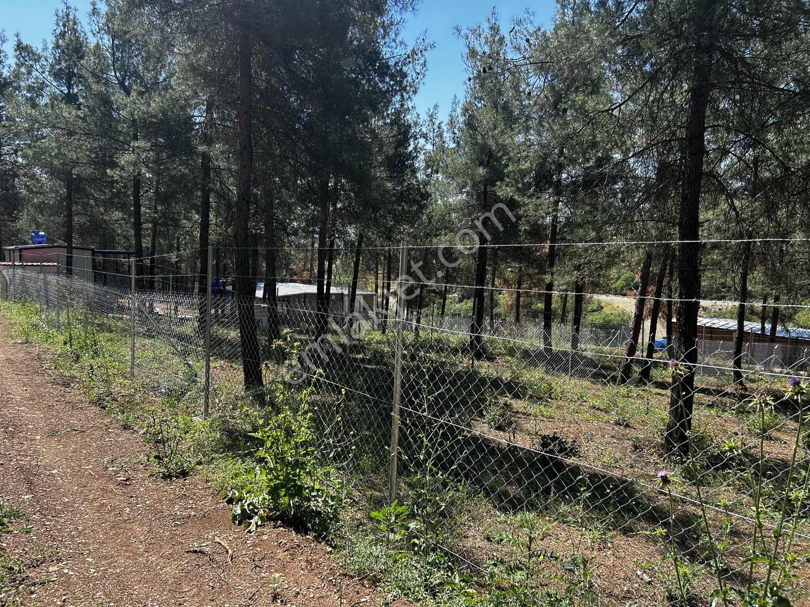 Dialog Altundan Koyunhisar Köyünde Satılık Eşsiz Manzaralı Tarla - Görsel 15