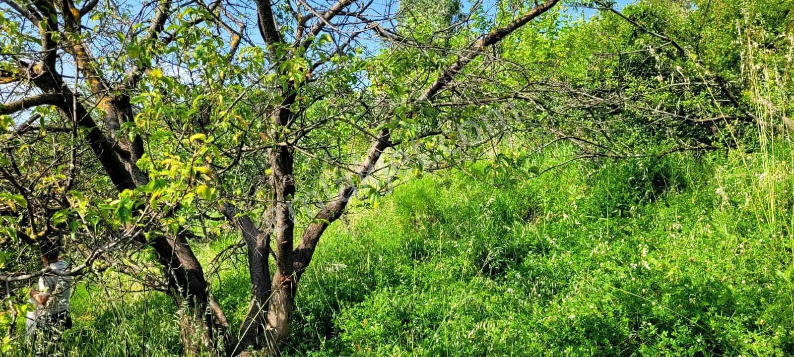 Bursa Kestel Cataltepe Mahallesi