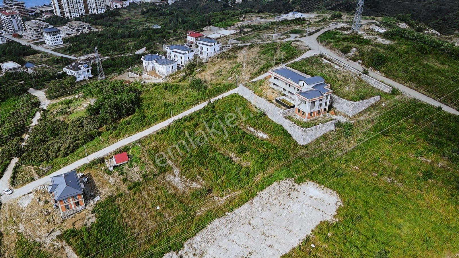Delta Gayrimenkul'den Piraziz Yeni Mahalle'de Villalık Arsa! - Görsel 10