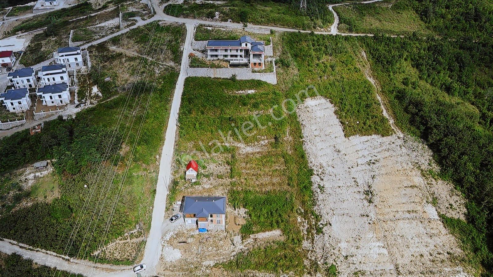 Delta Gayrimenkul'den Piraziz Yeni Mahalle'de Villalık Arsa! - Görsel 4