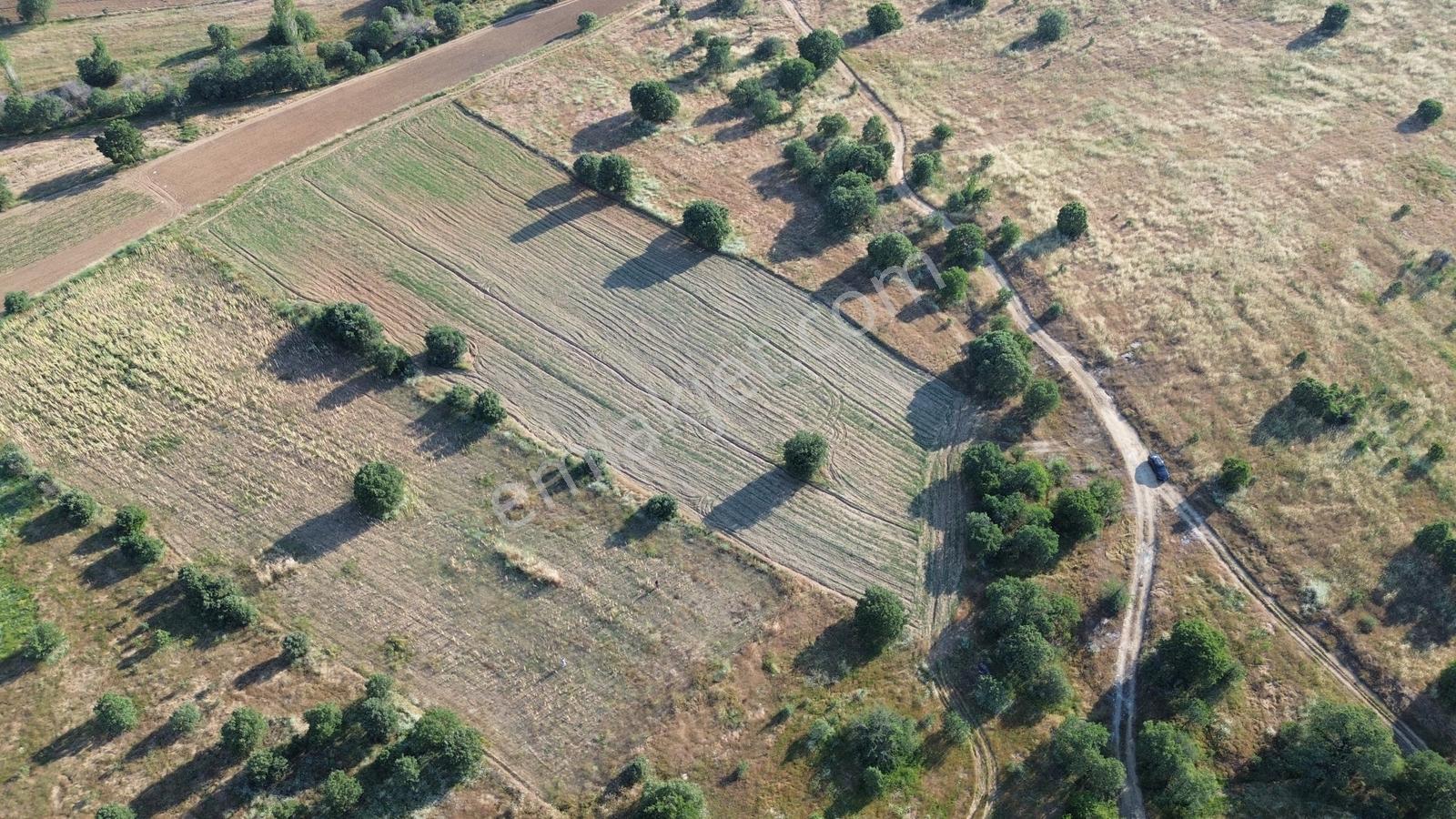 Eşme Takmak'ta Doğayla İç İçe 7.338 M² Yatırımlık Tarım Arazisi - Görsel 3