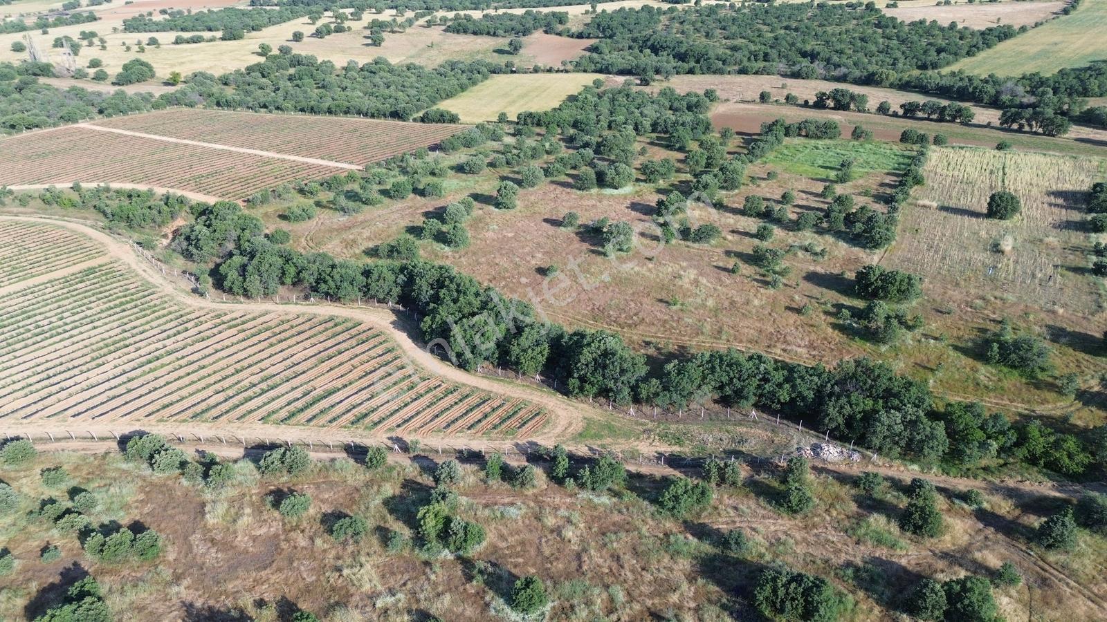 Eşme Takmak'ta Doğayla İç İçe 7.338 M² Yatırımlık Tarım Arazisi - Görsel 4