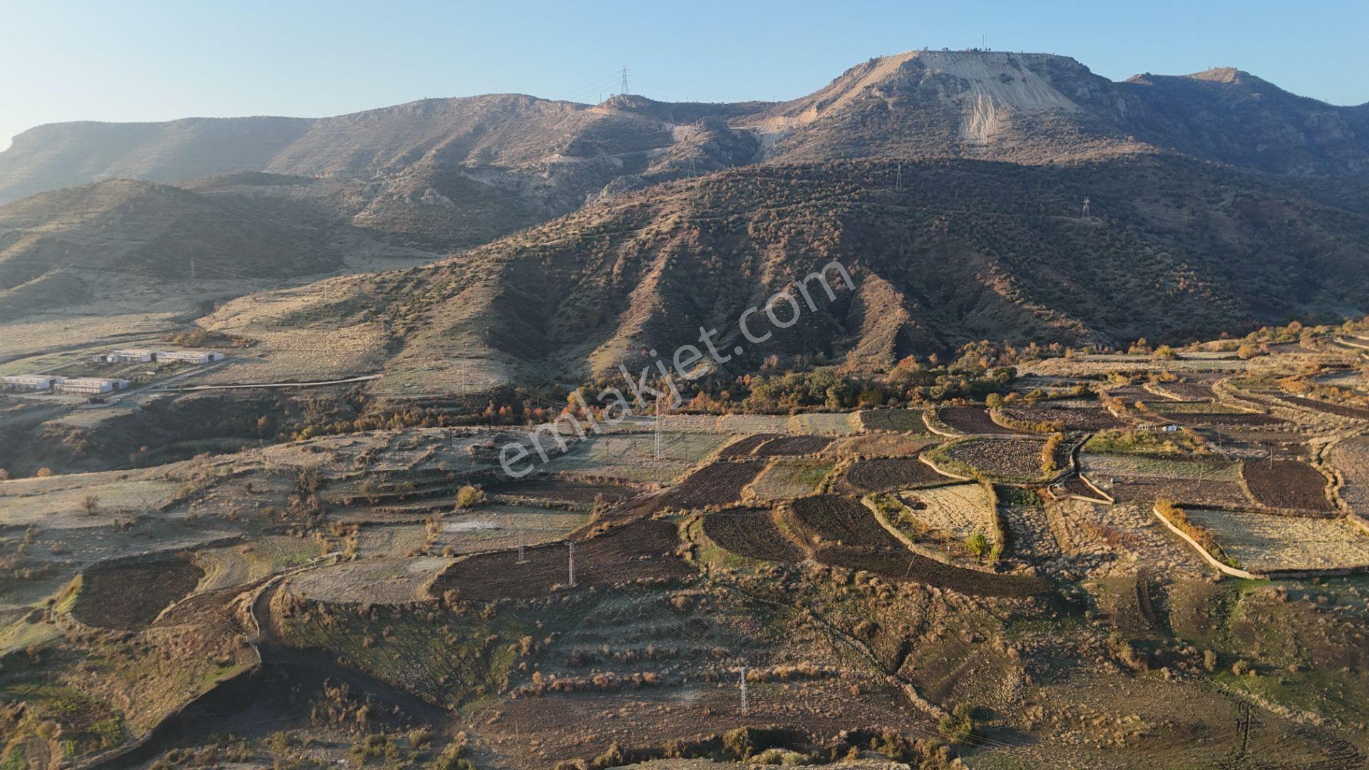 Mardin Dargeçit Karabayır Mahallesinde 1.511 M² Müstakil Tarla - Görsel 9