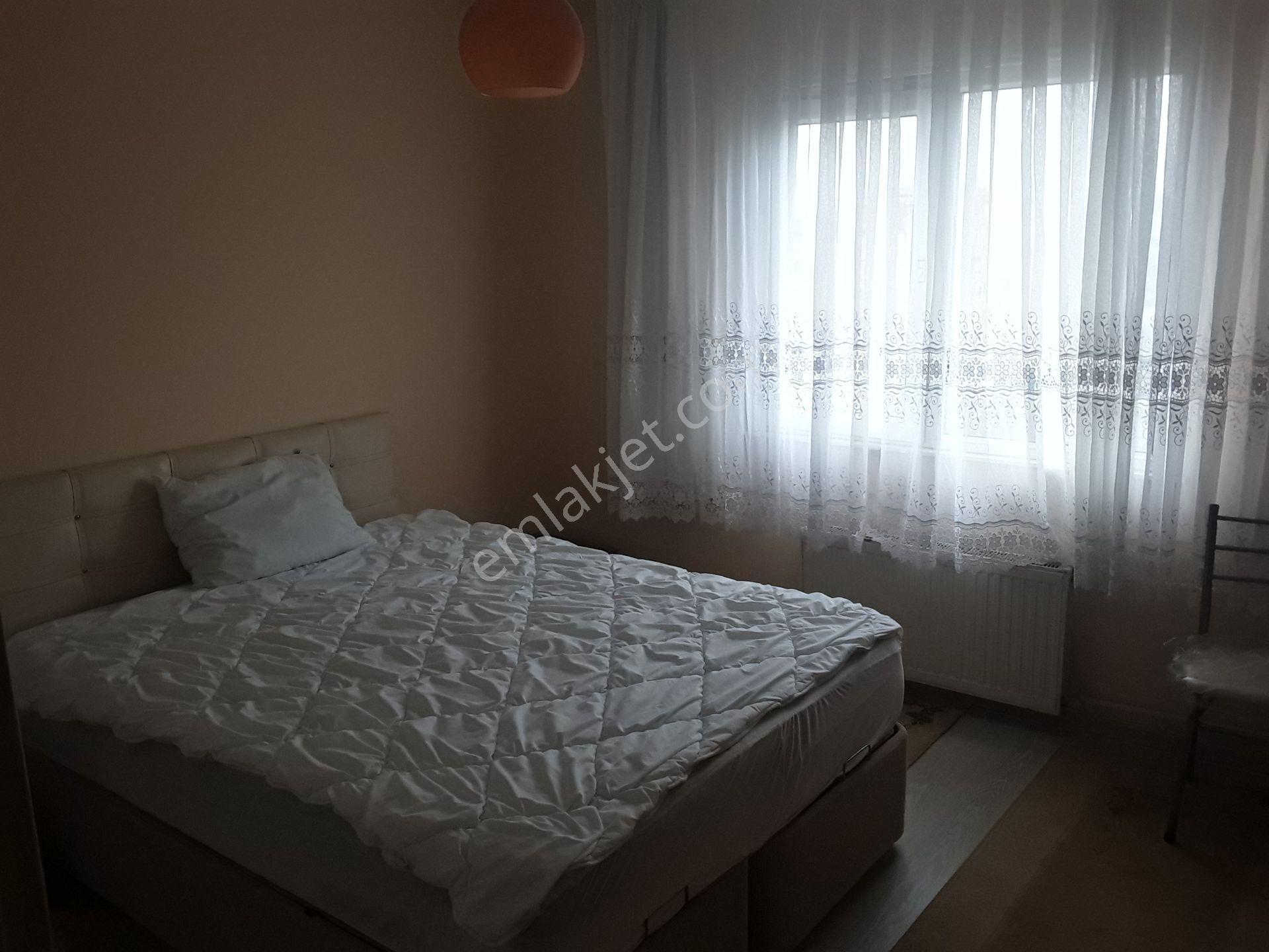 Organize Emlak'tan Palmiye Bloklarında 1+1 Eşyalı Kiralık Daire - Görsel 3