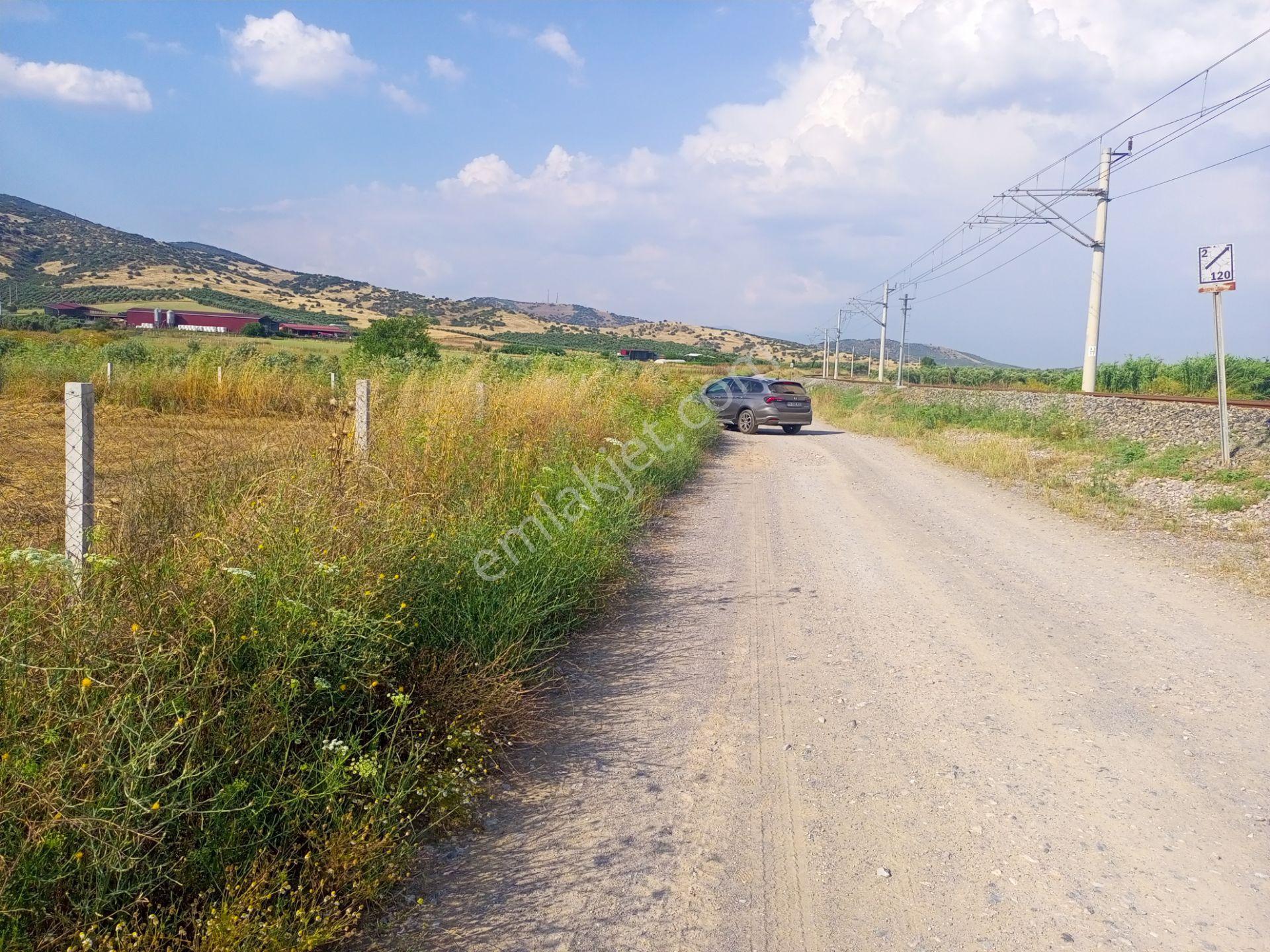 Tire Derebaşı Asfalt Yol Cepheli Köy Merkezine Yakın Tek Tapu 4288m2 Arazimiz Satılıktır - Görsel 6