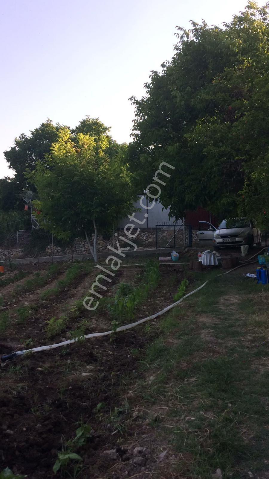 Muğla Menteşe Göktepe De 2150 M² Bahçe - Görsel 4