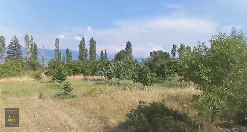 Barla Boyalıda Emsalsiz Ev Ve Arazi - Görsel 2