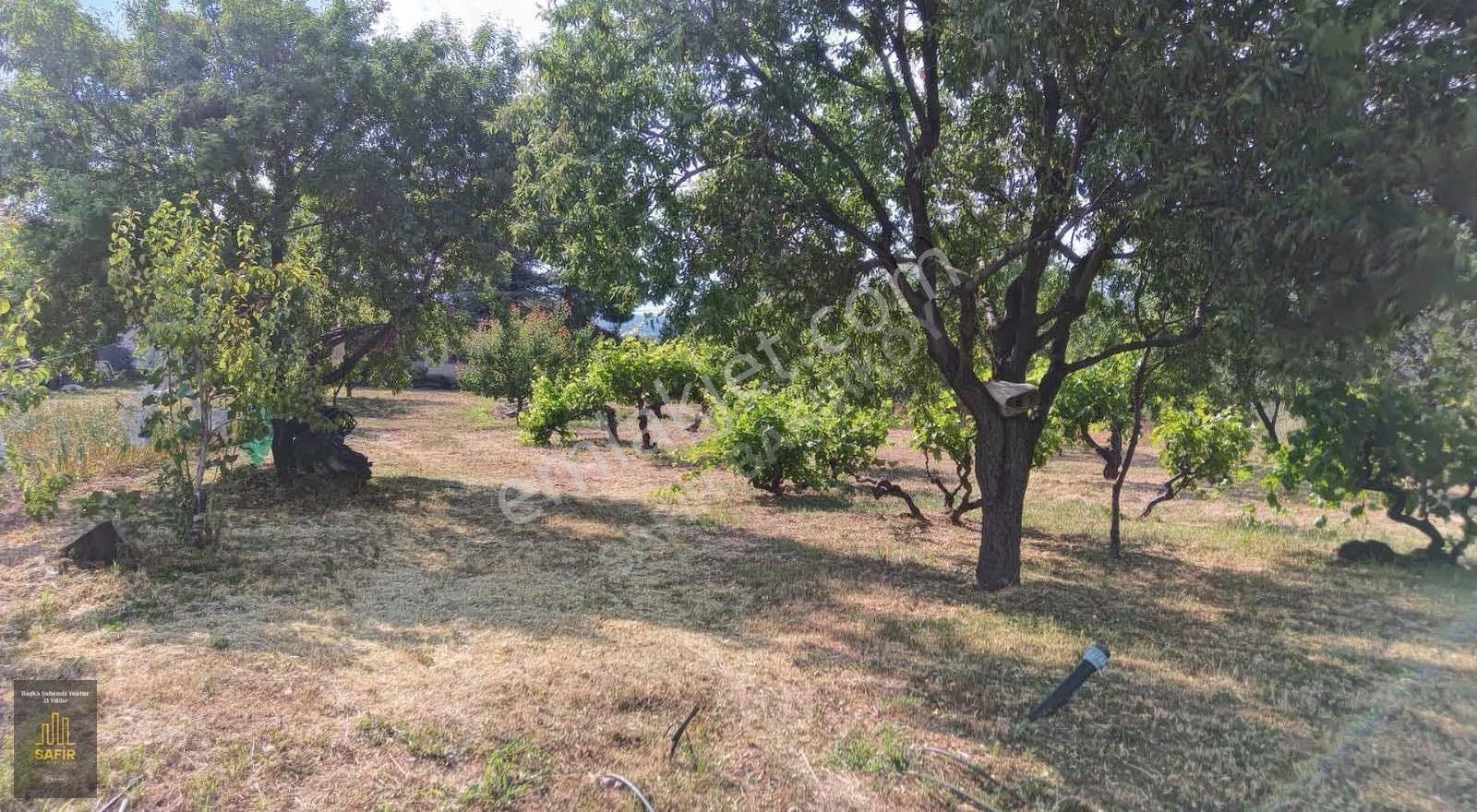 Barla Boyalıda Emsalsiz Ev Ve Arazi - Görsel 12