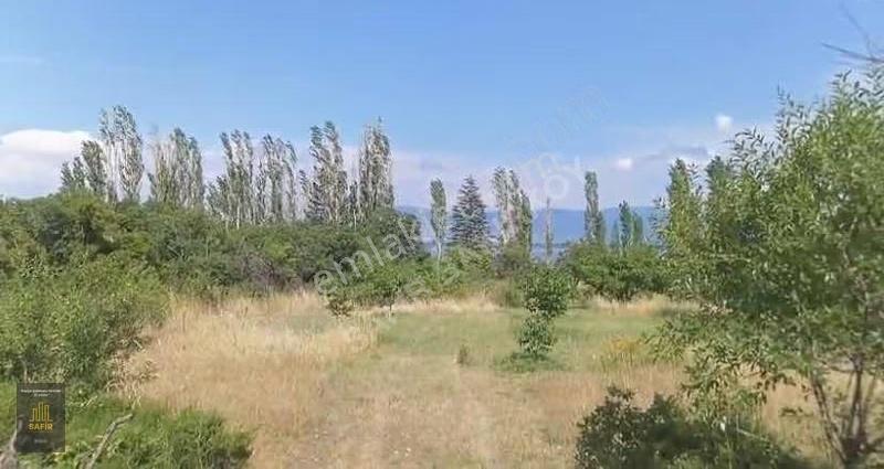 Barla Boyalıda Emsalsiz Ev Ve Arazi - Görsel 5