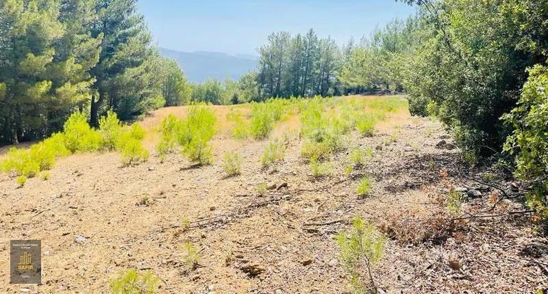 Muğla Menteşe'de Tek Tapu 15.998m² Tarla - Yatırıma Uygun! - Görsel 3