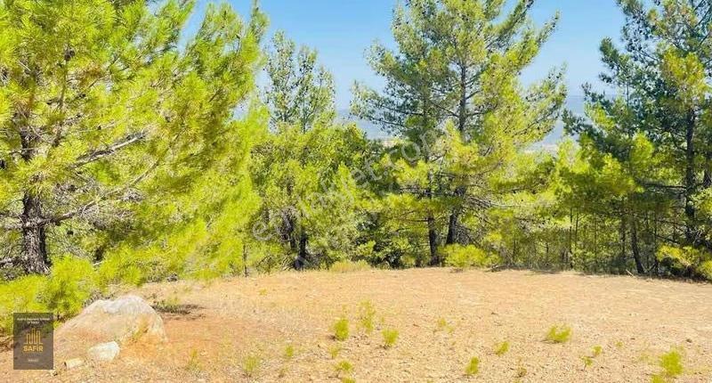 Muğla Menteşe'de Tek Tapu 15.998m² Tarla - Yatırıma Uygun! - Görsel 8