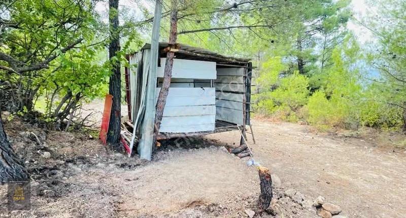 Muğla Menteşe'de Tek Tapu 15.998m² Tarla - Yatırıma Uygun! - Görsel 4