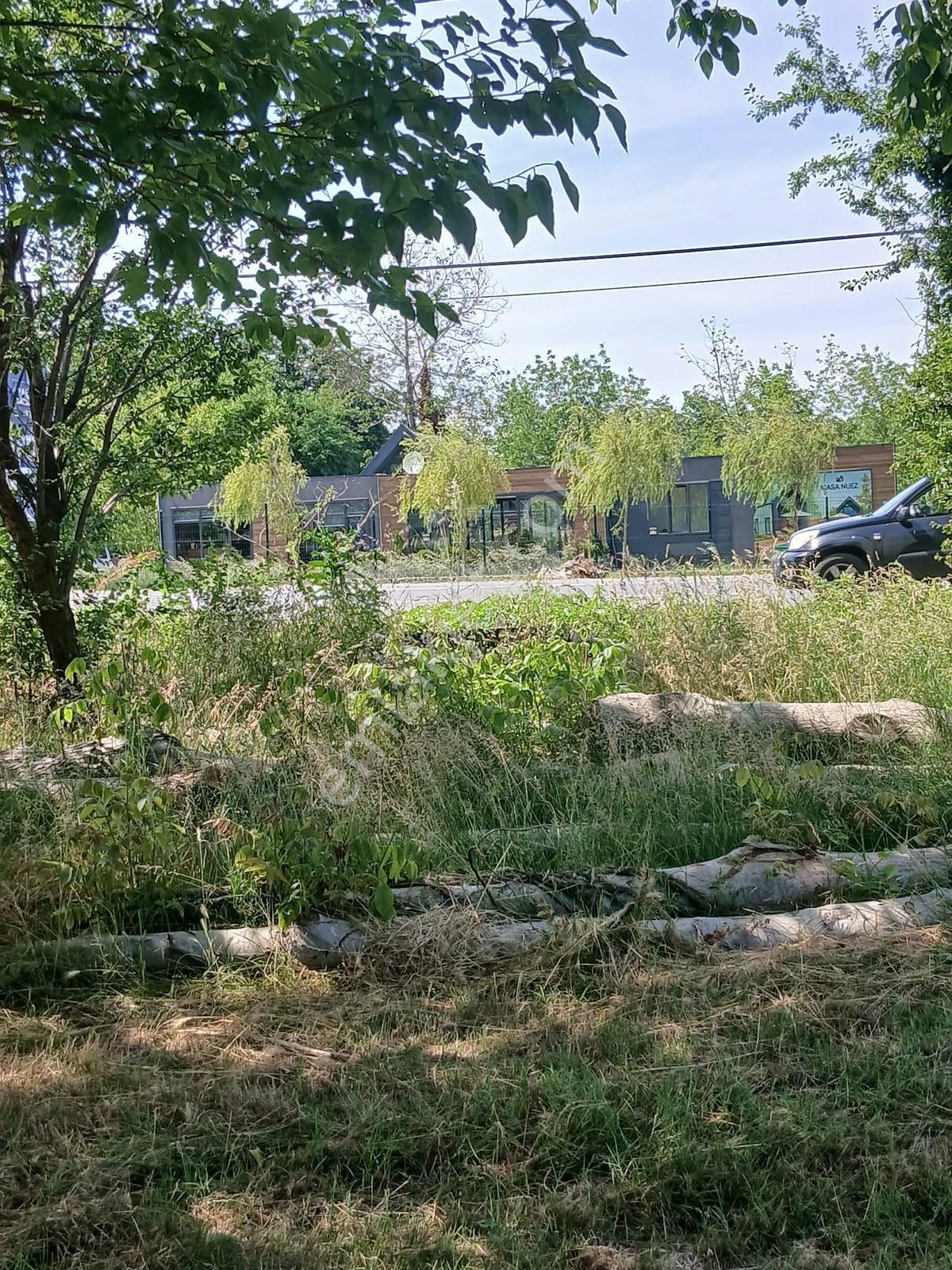 Sapanca Yanık'ta Doğayla İç İçe Satılık Arazi