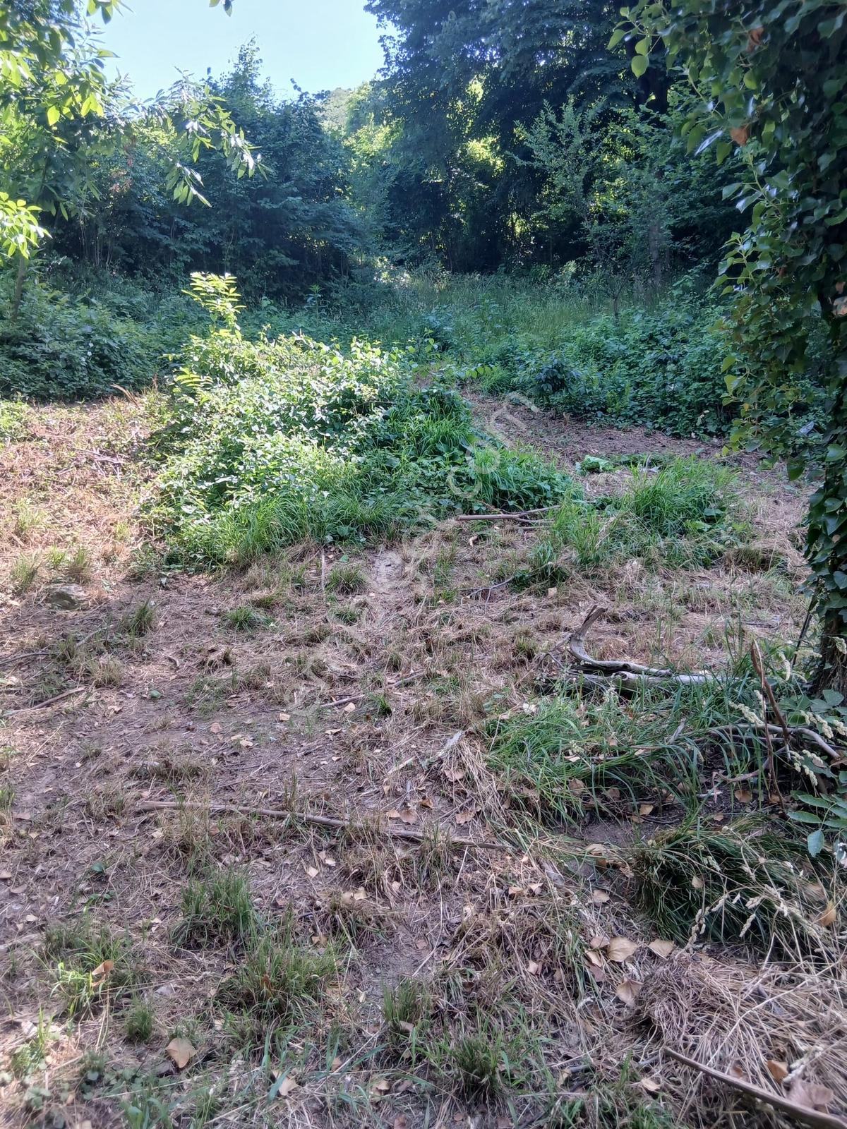 Sapanca Yanık'ta Doğayla İç İçe Satılık Arazi - Görsel 6