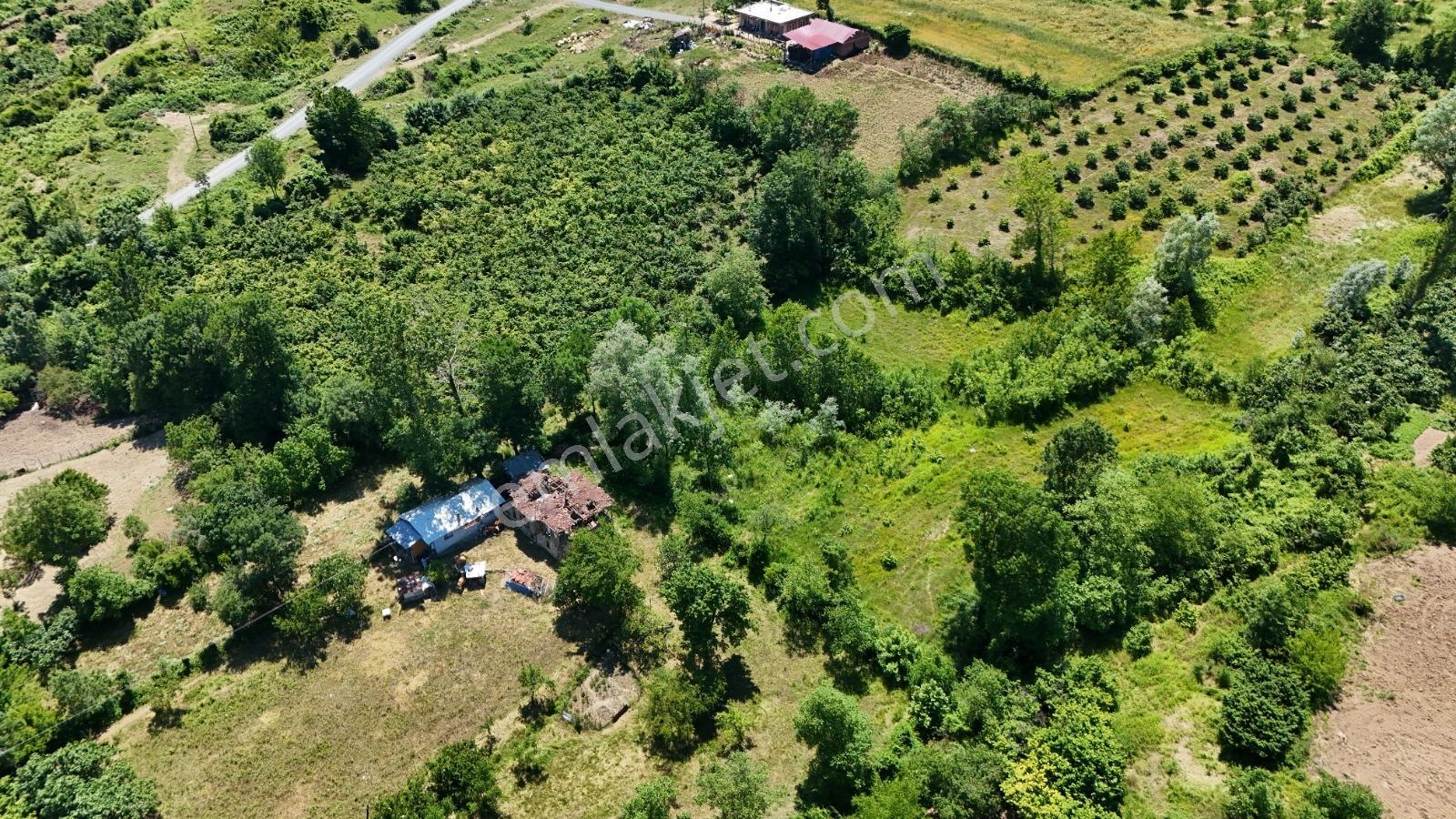 Bi·nova'dan Şehrin Merkezi Yeşiltepe Mh. Satılık Ev Ve Tarla - Görsel 6
