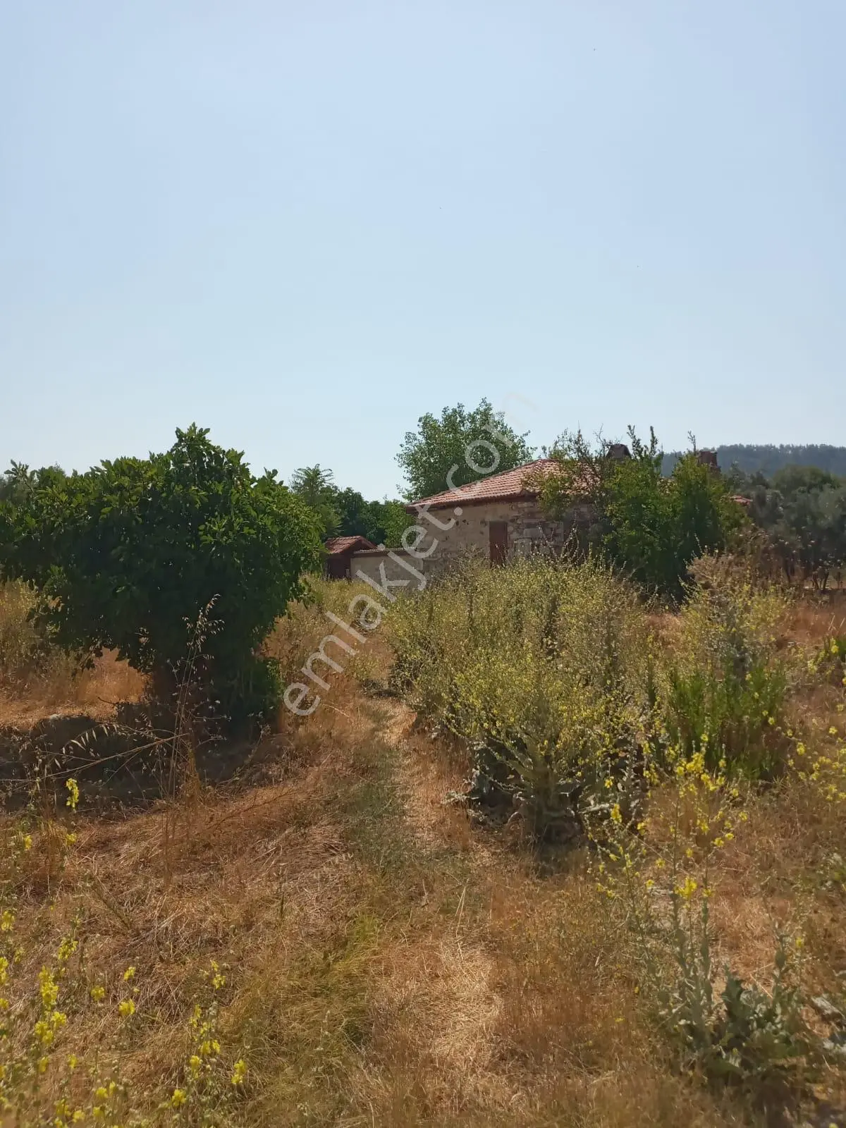 Stratonikeia Antik Kentinde Müstakil Ev (pazarlık Payı Vardır.)