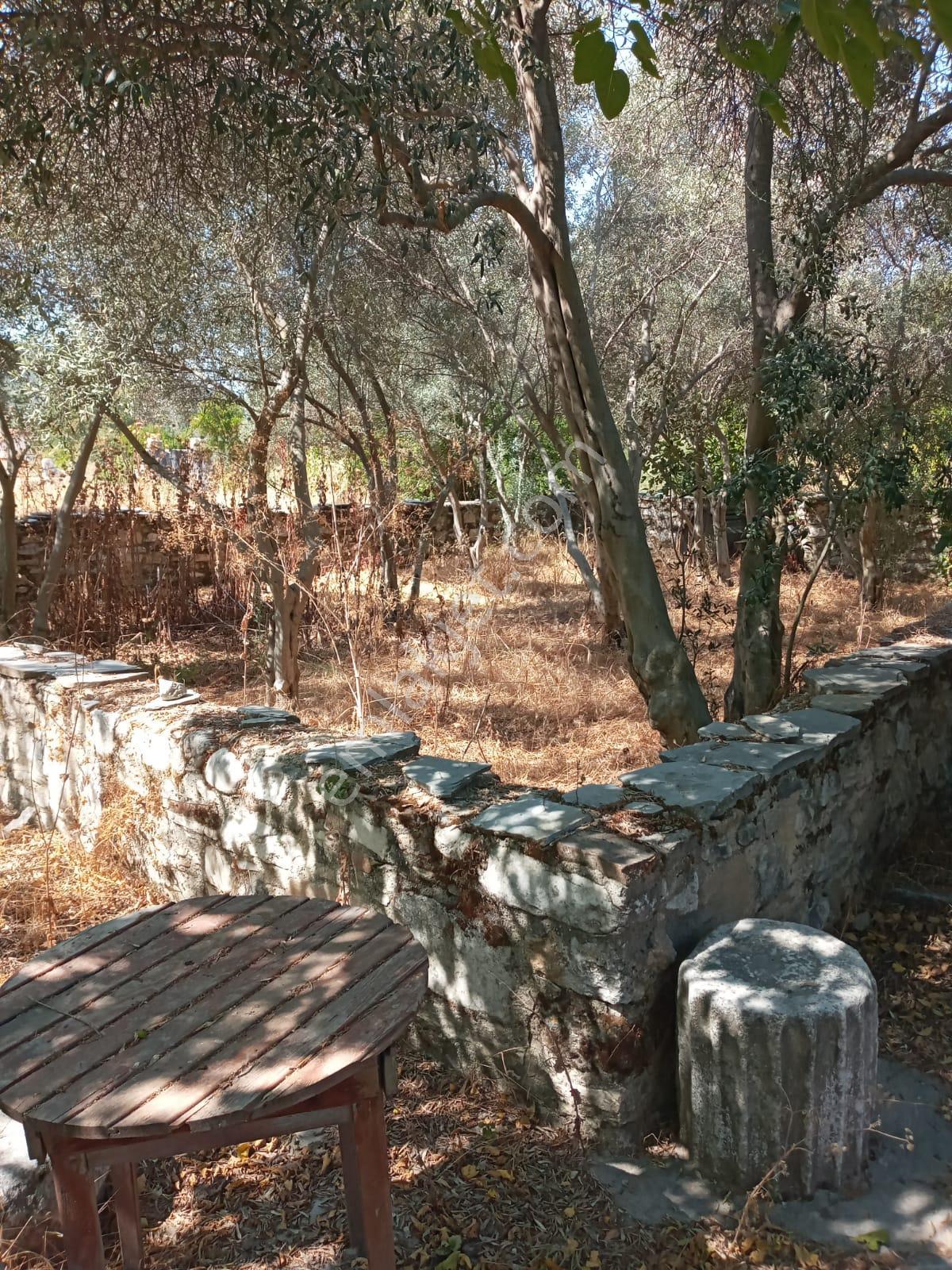 Stratonikeia Antik Kentinde Müstakil Ev (pazarlık Payı Vardır.) - Görsel 11