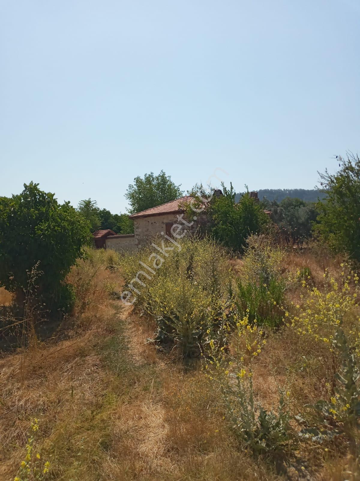 Stratonikeia Antik Kentinde Müstakil Ev (pazarlık Payı Vardır.) - Görsel 18