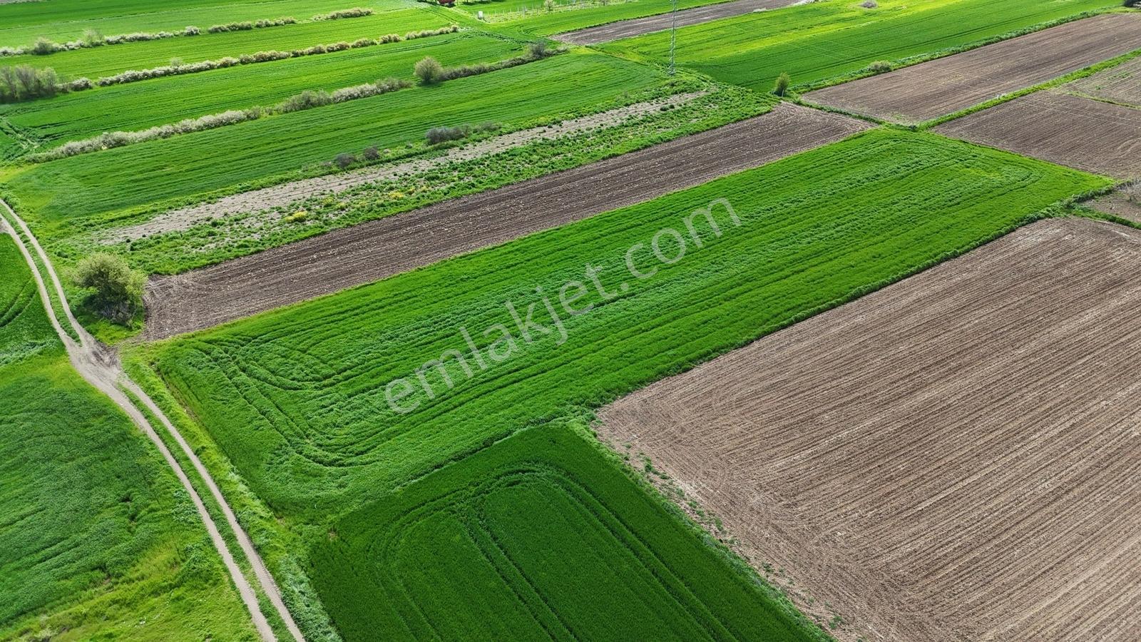 Ceylanköyde Bölünmeye Uygun 5.300m2 İmarlı Tek Tapu Arsa ! - Görsel 27