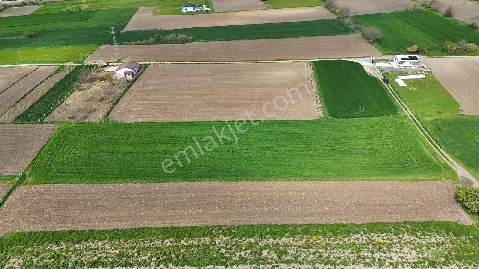 Ceylanköyde Bölünmeye Uygun 5.300m2 İmarlı Tek Tapu Arsa ! - Görsel 4