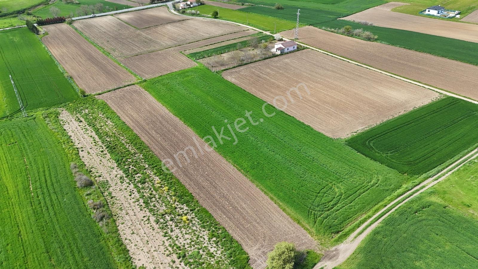 Ceylanköyde Bölünmeye Uygun 5.300m2 İmarlı Tek Tapu Arsa ! - Görsel 32