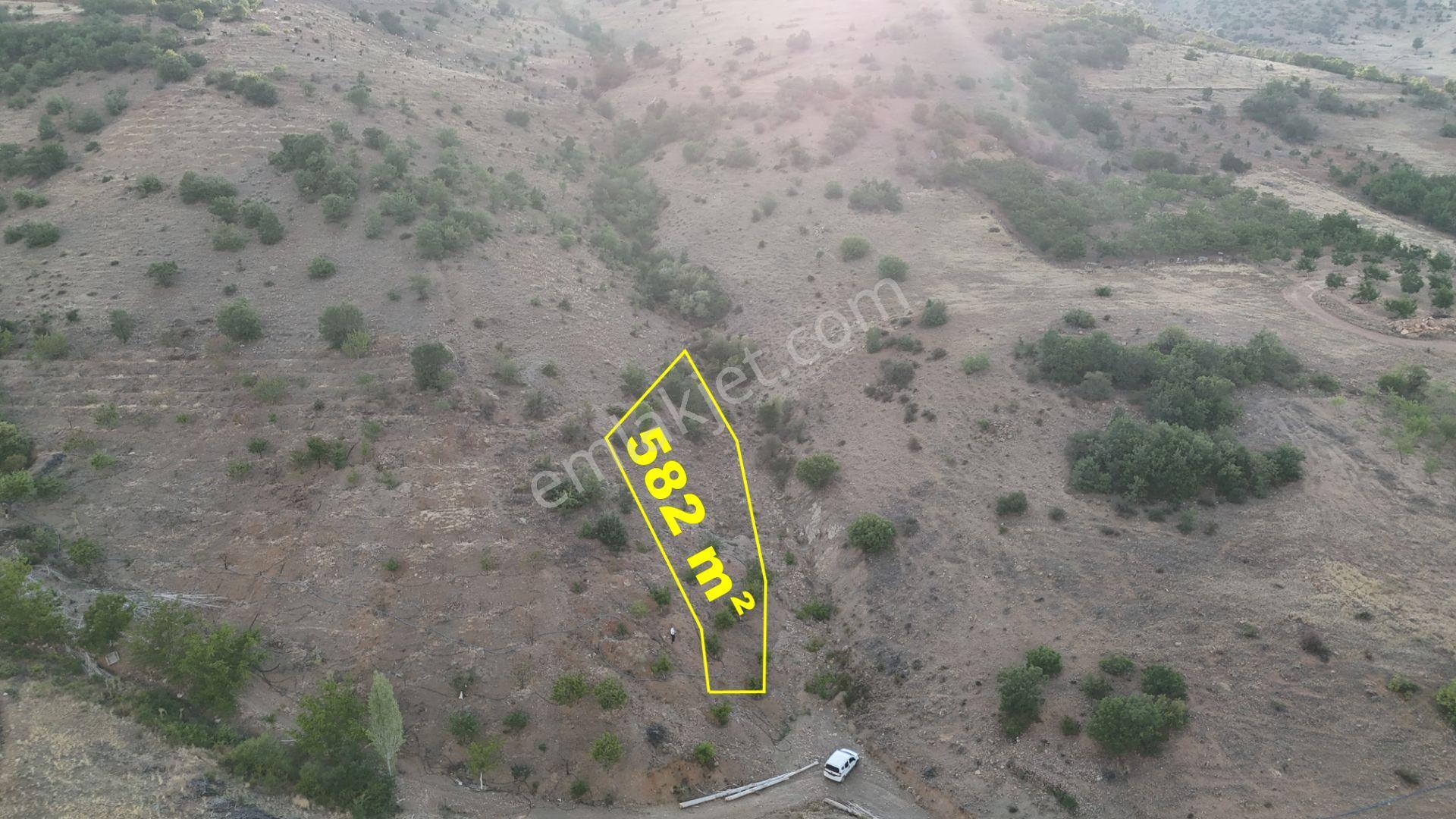 Hadim Göynükkışla Mahallesinde Yola Cephe 582 M² Müstakil Tarla