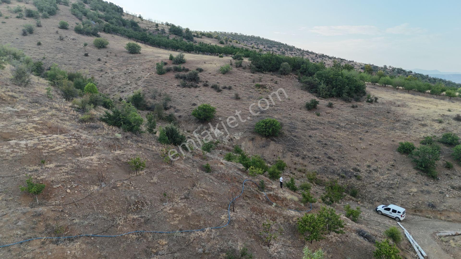 Hadim Göynükkışla Mahallesinde Yola Cephe 582 M² Müstakil Tarla - Görsel 4