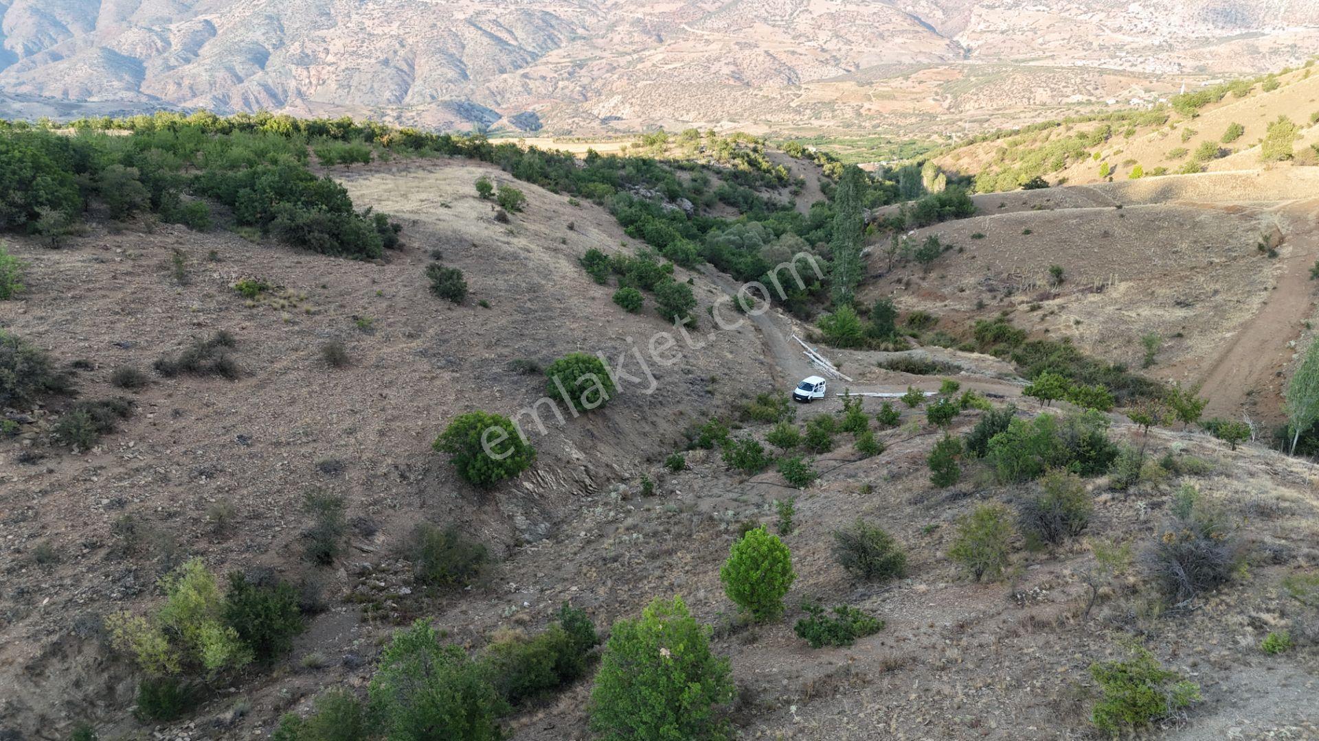 Hadim Göynükkışla Mahallesinde Yola Cephe 582 M² Müstakil Tarla - Görsel 5