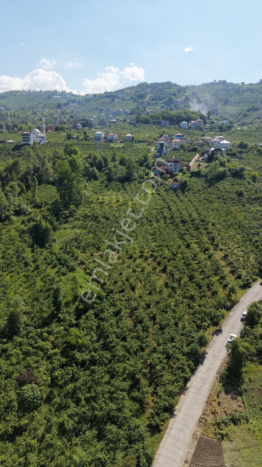Trabzon Ortahisar Yeşilovada Satılık 3442 M2 Arsa - Görsel 9