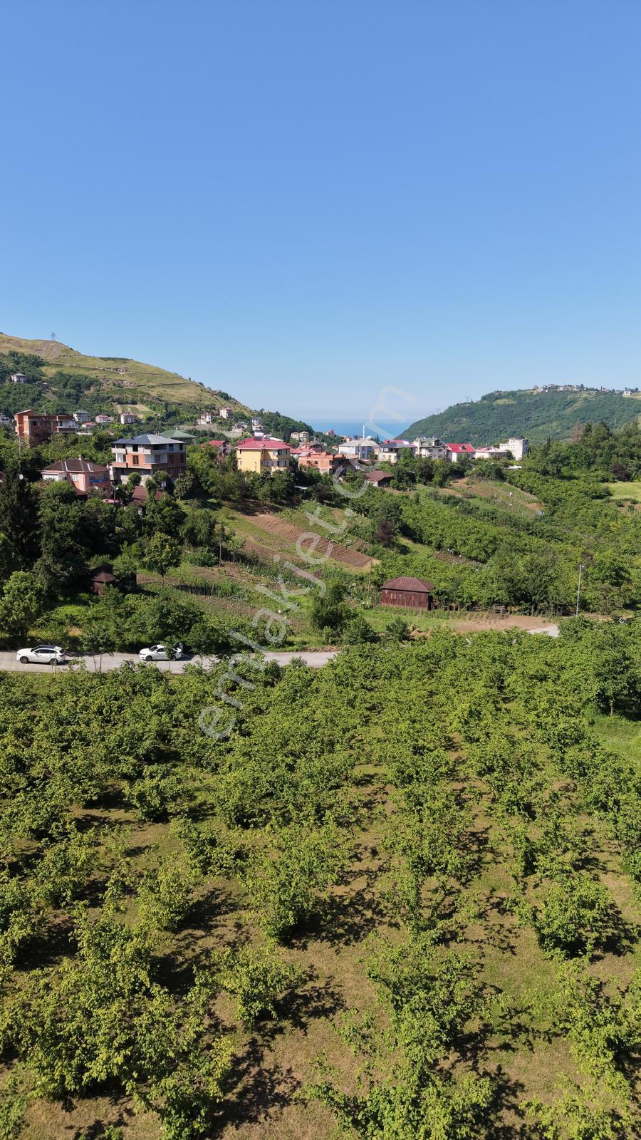 Trabzon Ortahisar Yeşilovada Satılık 3442 M2 Arsa - Görsel 7