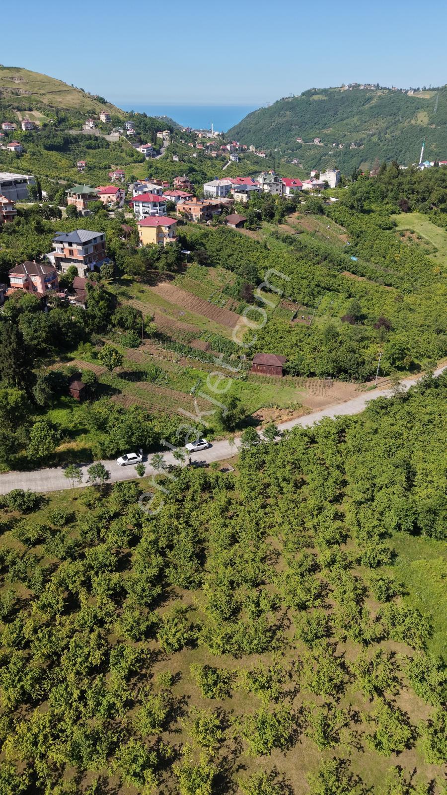 Trabzon Ortahisar Yeşilovada Satılık 3442 M2 Arsa - Görsel 11