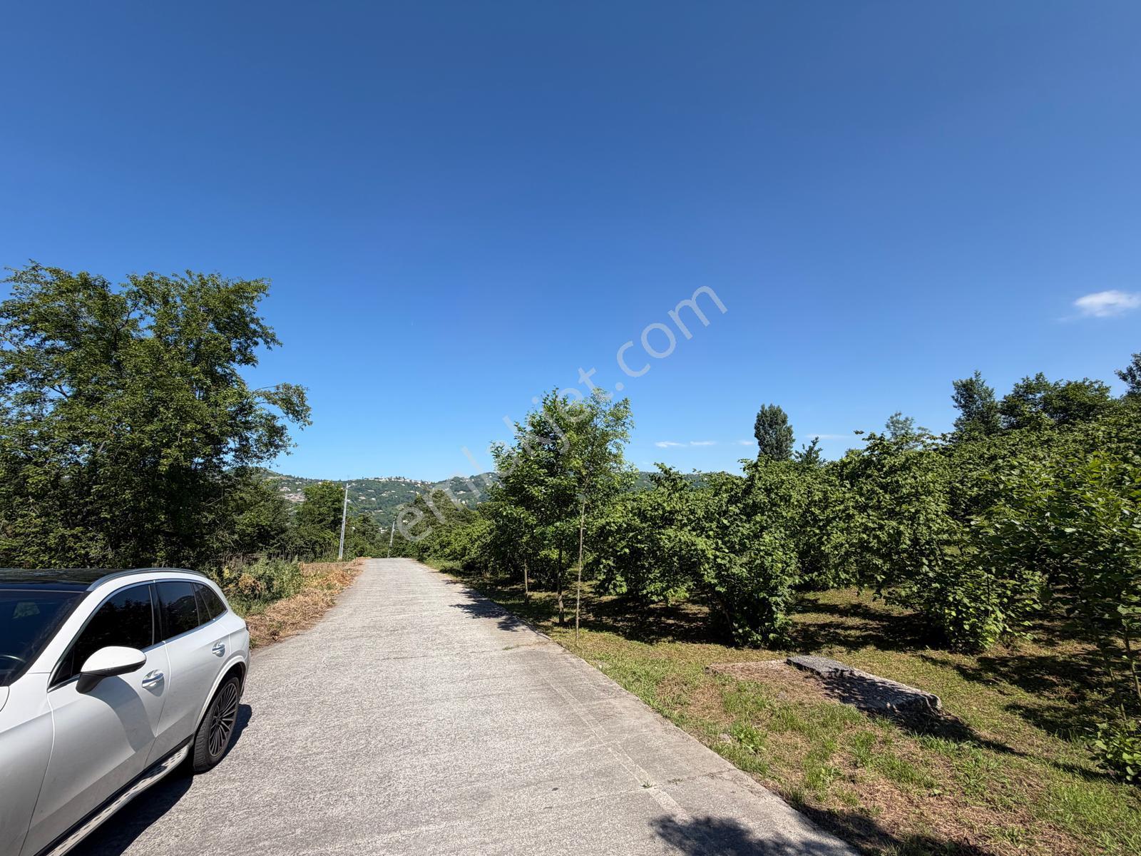 Trabzon Ortahisar Yeşilovada Satılık 3442 M2 Arsa - Görsel 14