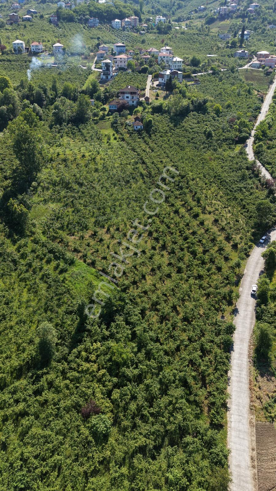 Trabzon Ortahisar Yeşilovada Satılık 3442 M2 Arsa - Görsel 13