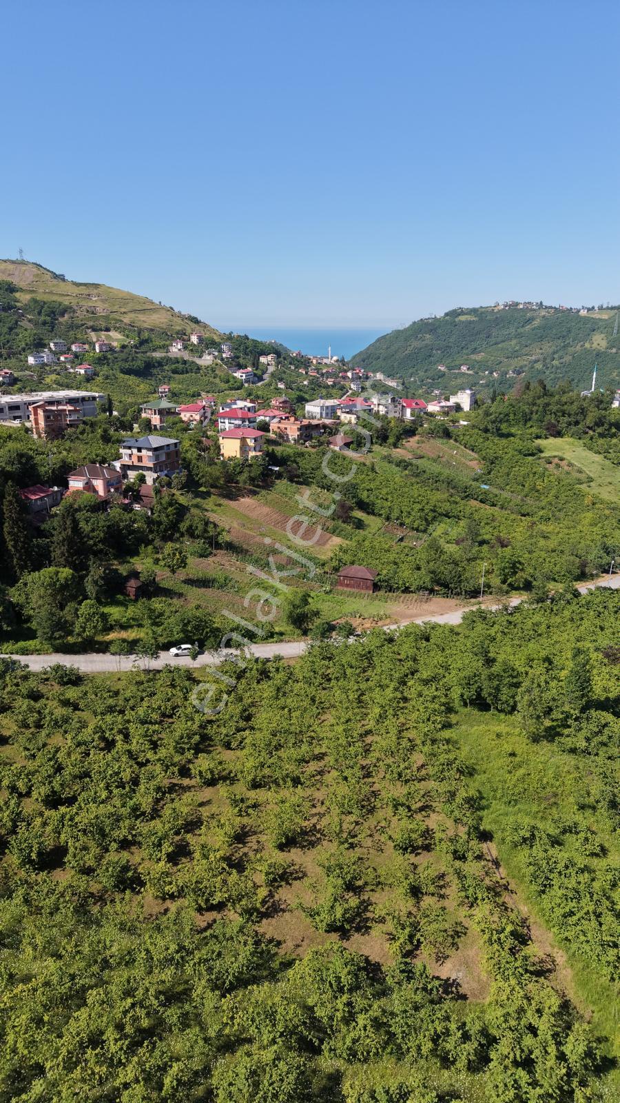 Trabzon Ortahisar Yeşilovada Satılık 3442 M2 Arsa - Görsel 6