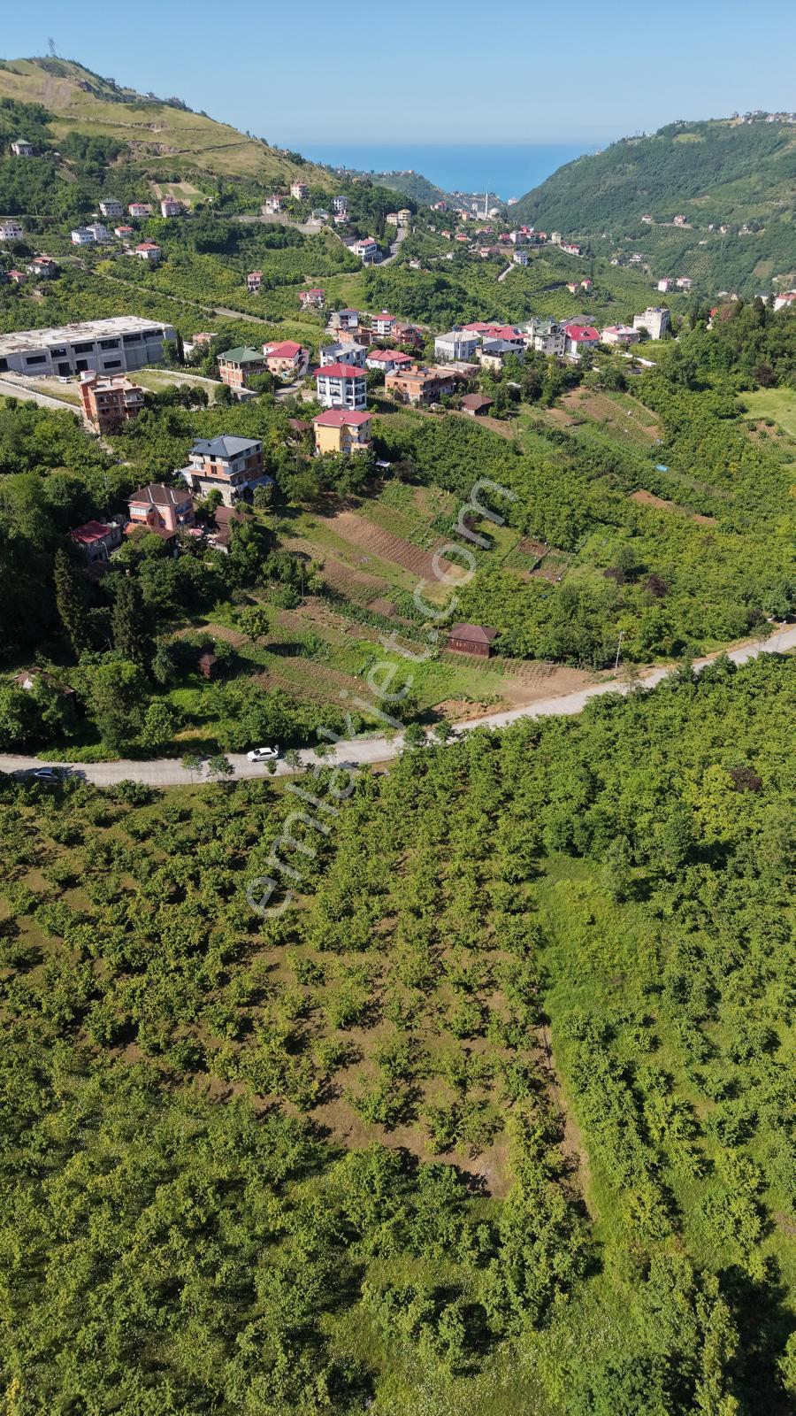 Trabzon Ortahisar Yeşilovada Satılık 3442 M2 Arsa - Görsel 4