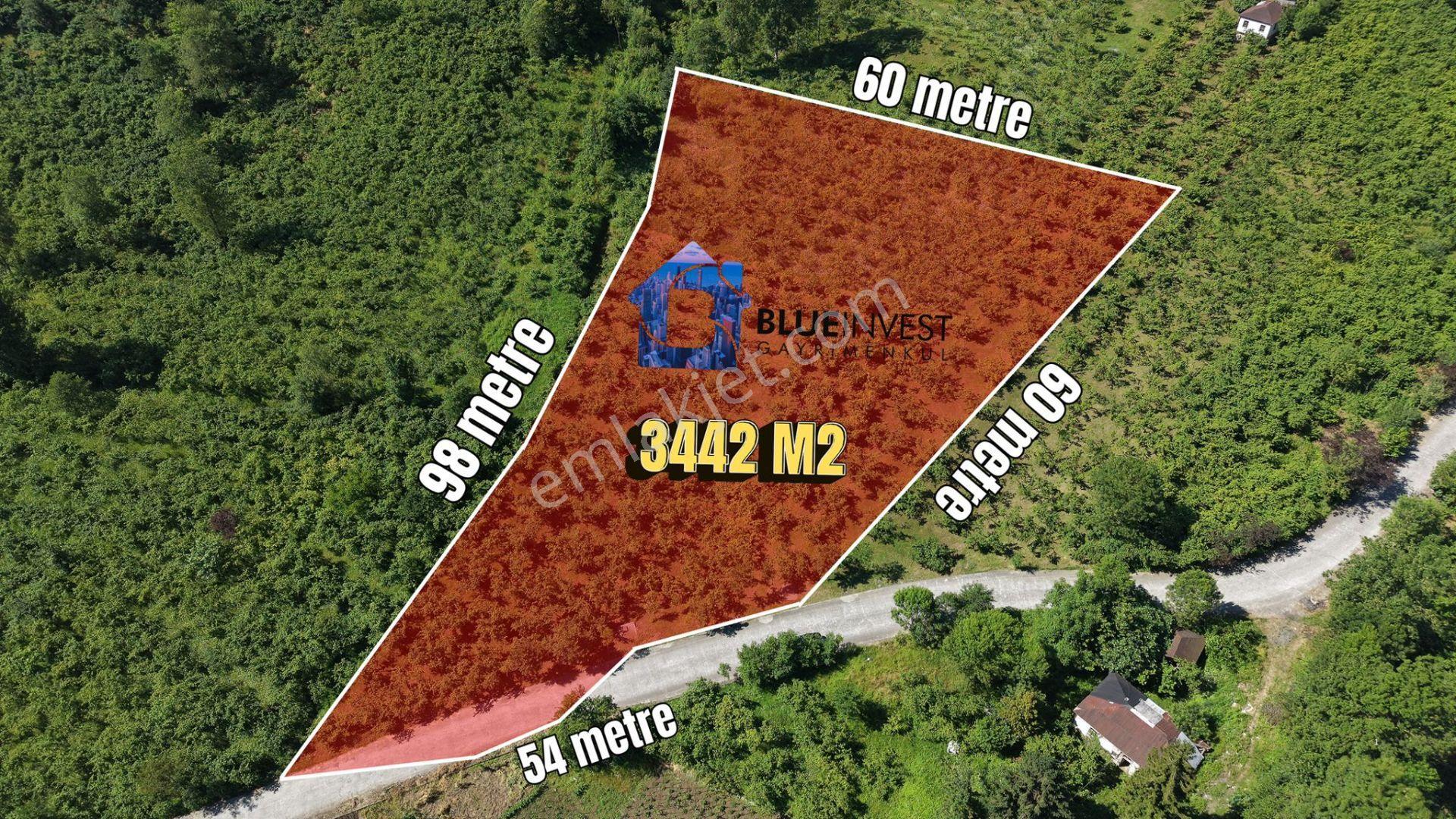 Trabzon Ortahisar Yeşilovada Satılık 3442 M2 Arsa
