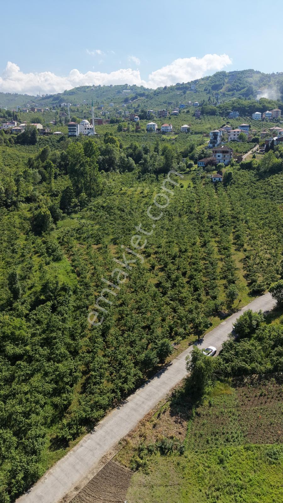 Trabzon Ortahisar Yeşilovada Satılık 3442 M2 Arsa - Görsel 10
