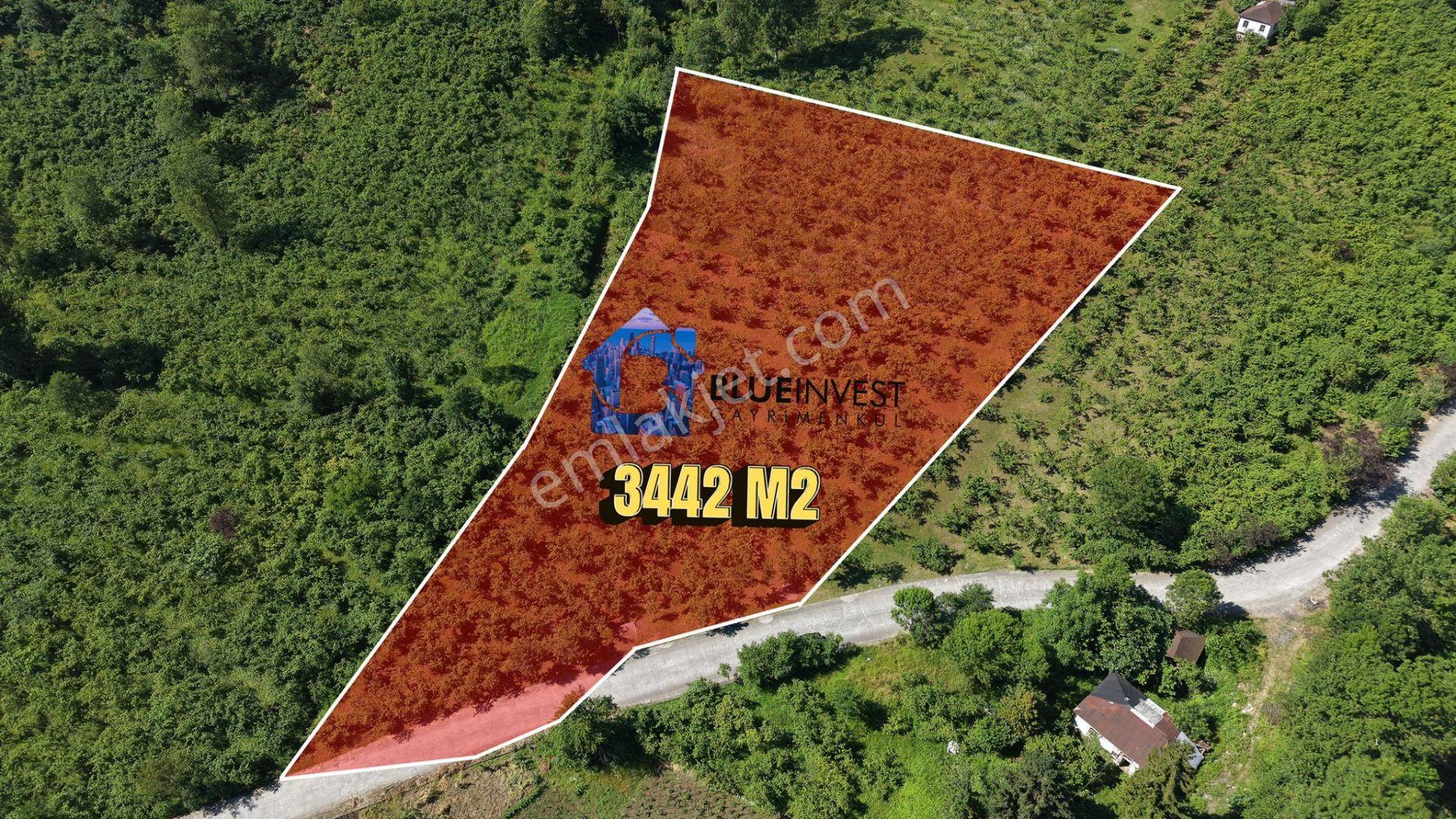 Trabzon Ortahisar Yeşilovada Satılık 3442 M2 Arsa - Görsel 2