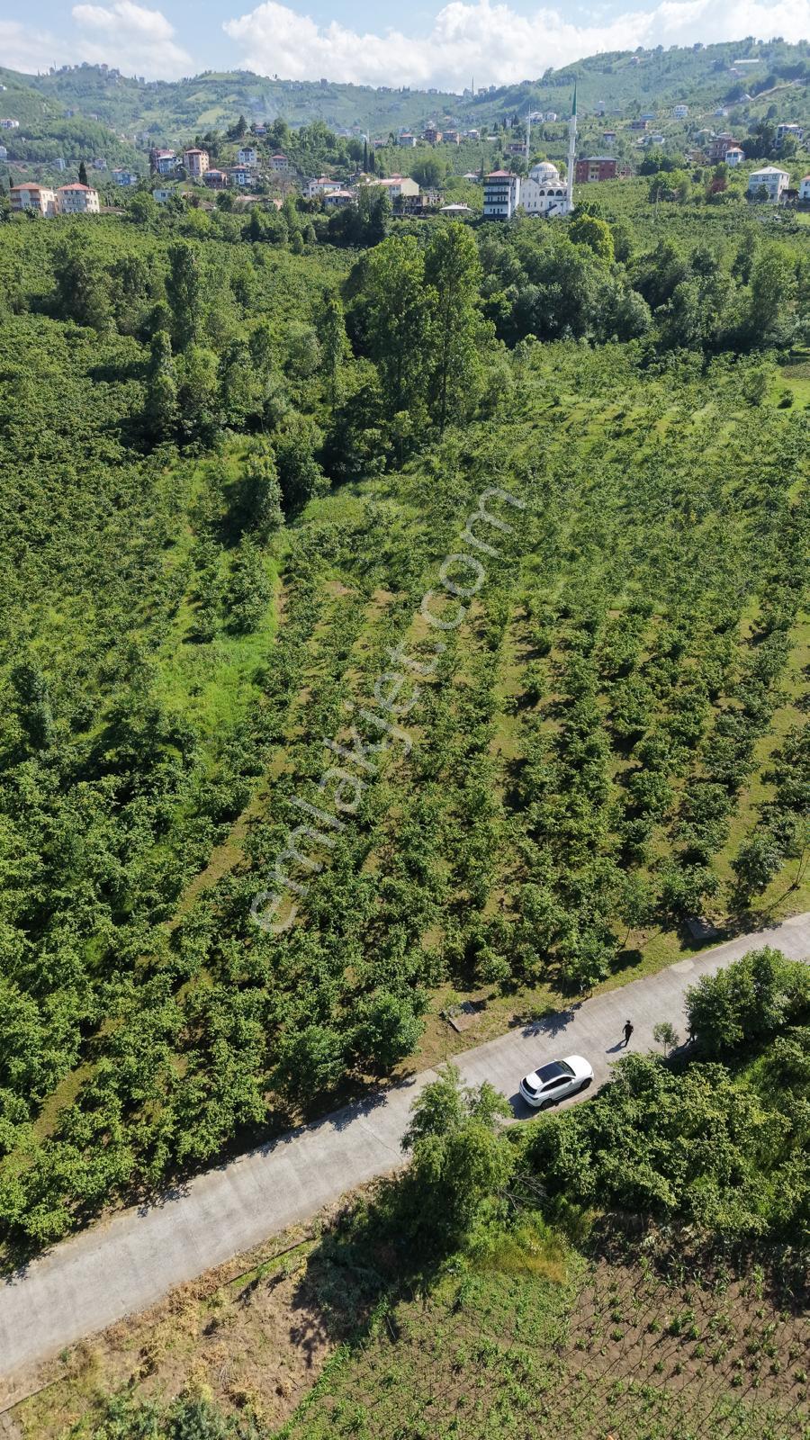 Trabzon Ortahisar Yeşilovada Satılık 3442 M2 Arsa - Görsel 12