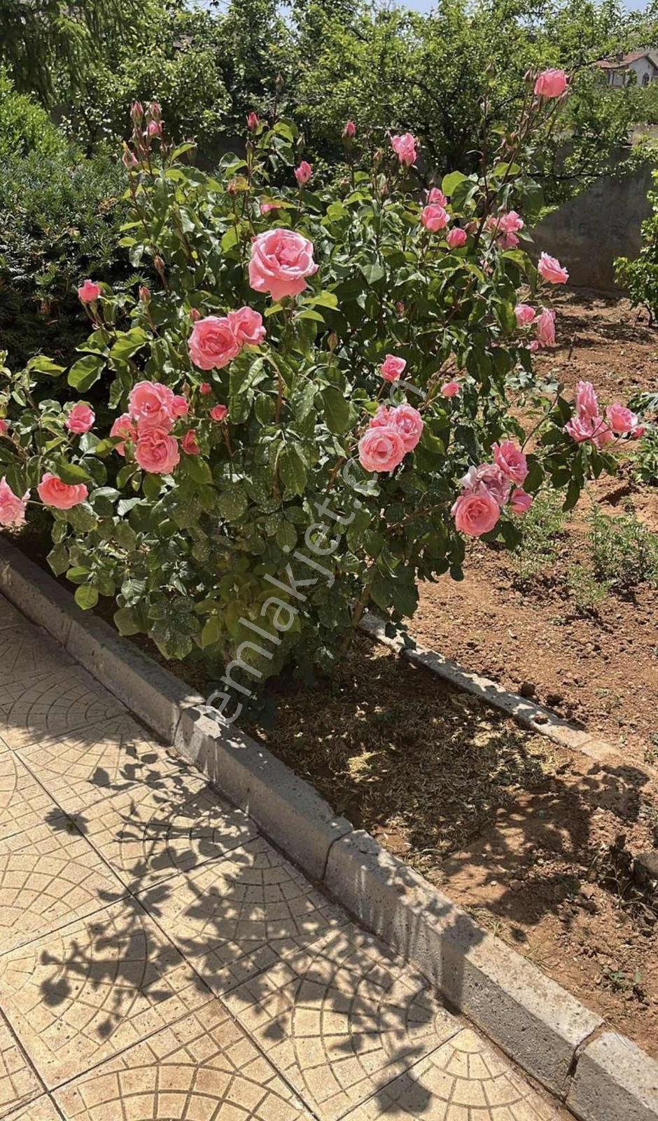 Ecrin Emlak'tan Hankendi'de Fırsat 500 M2 Arsalı Villa - Görsel 11