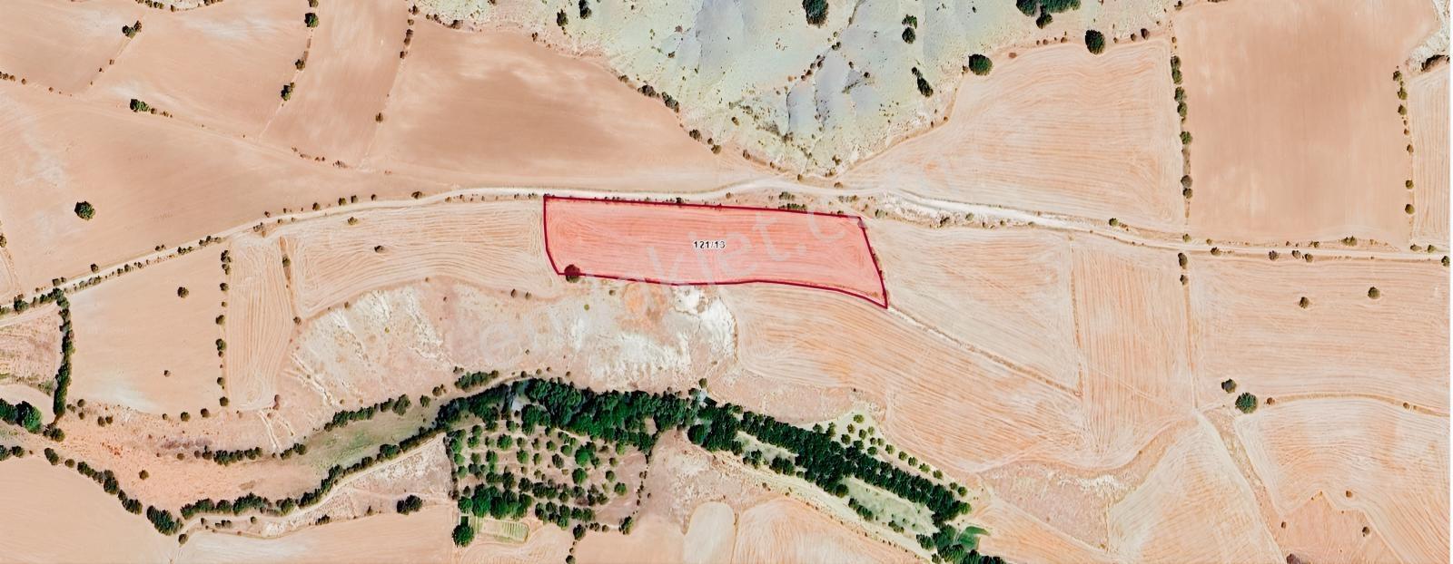 Ecrin Emlaktan Yazpınar'ında Fırsat 10.533 M2 Tarla - Görsel 19